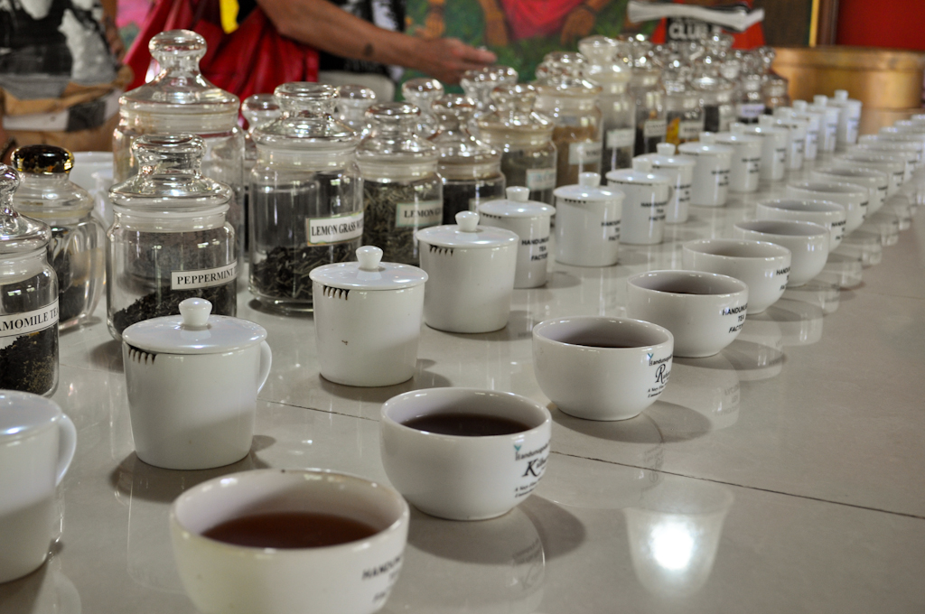 Дегустация чая на Шри-Ланке
