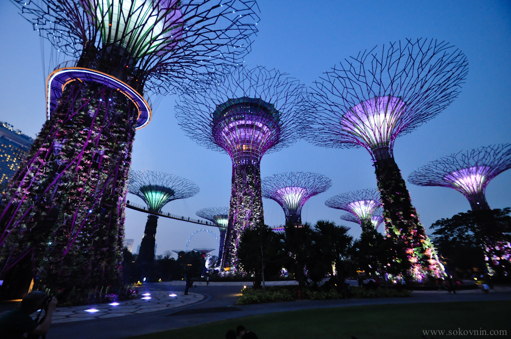 Световое шоу в Сингапуре Gardens Rhapsody