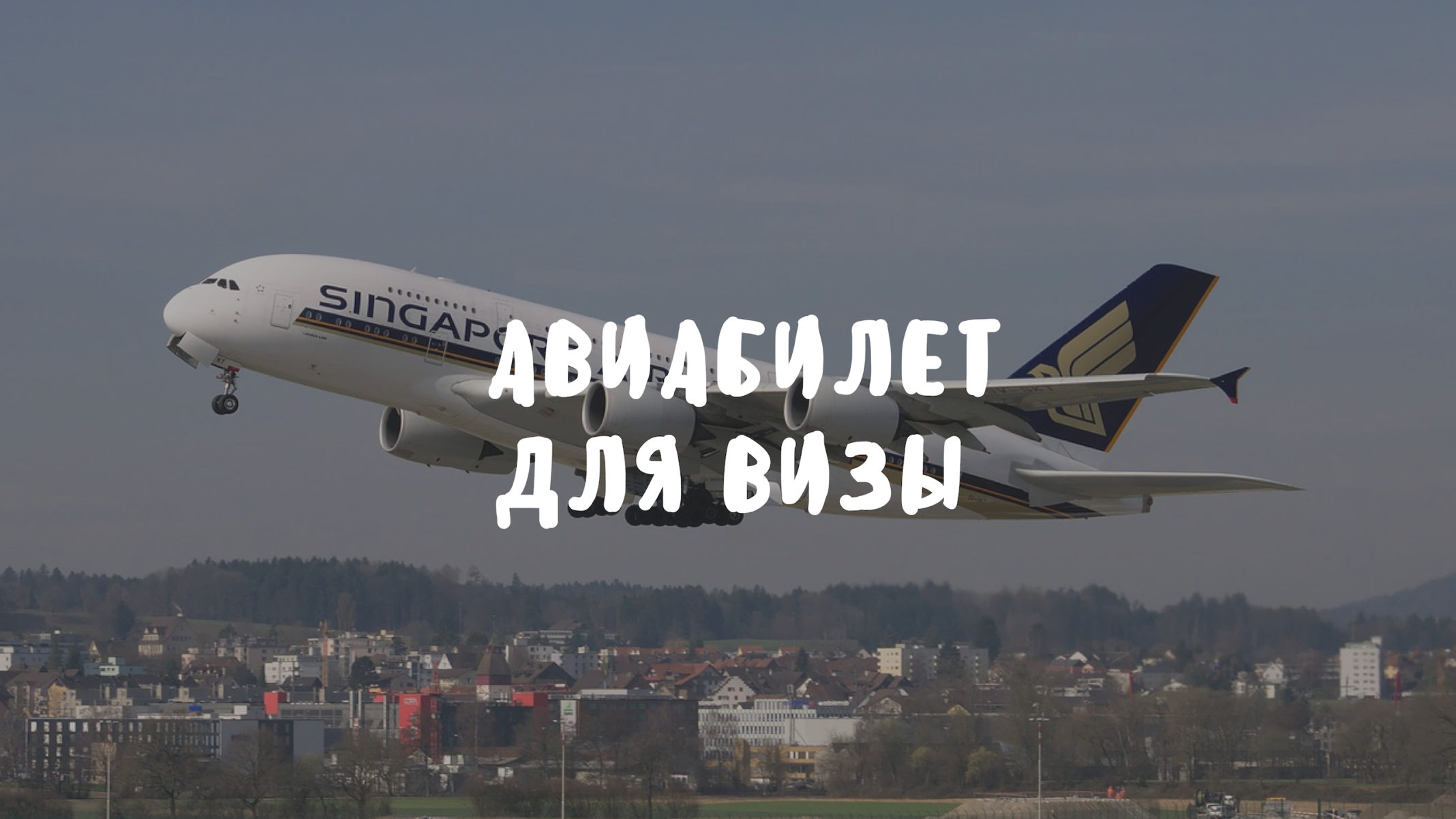 Самолет на визе