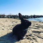 125339651_427392005092246_1957903950989593344_n