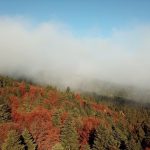 255153348_365923975218385_2170292360875747837_n