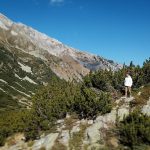 255272195_138791685163569_5182311263087794644_n